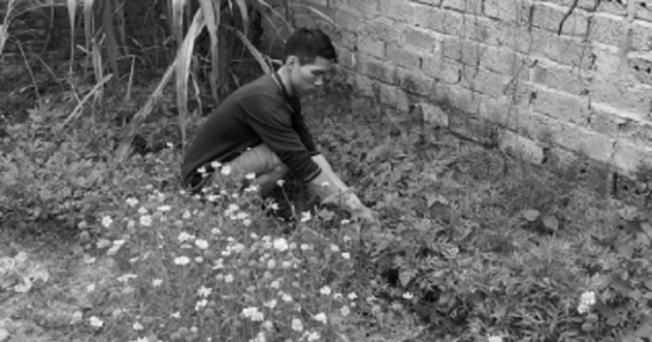 Vụ án cố ý gây thương tích ở Đông Anh, Hà Nội: Bị cáo kêu oan, Tòa bỏ qua nhiều chứng cứ quan trọng?