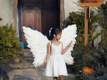 Xu&acirc;n Bắc nắm tay 2 con trai - Bi B&eacute;o, Minh Bủm catwalk giữa vườn hoa