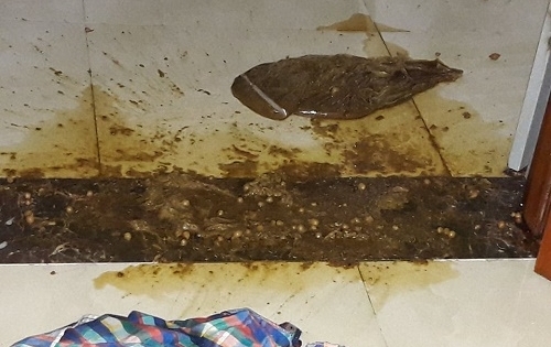 Nữ phóng viên tiếp tục bị “khủng bố” bằng chất bẩn trước cửa phòng