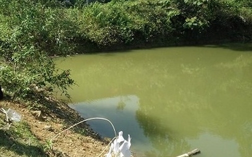 Thanh Hóa: 3 bé trai chết đuối thương tâm dưới ao cá