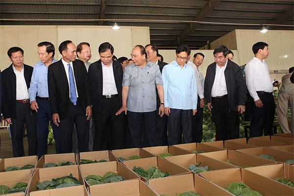 Thủ tướng Nguyễn Xu&acirc;n Ph&uacute;c, Ph&oacute; Thủ tướng Vũ Đức Đam c&ugrave;ng c&aacute;c đại biểu thăm nh&agrave; xưởng của n&ocirc;ng d&acirc;n Tăng Xu&acirc;n Trường.