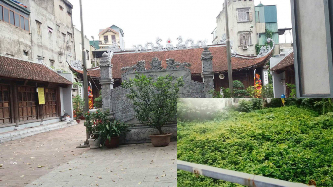 Ngh&igrave;n m&eacute;t đất bỏ hoang gần 20 năm cạnh đ&igrave;nh Vĩnh Tuy, Hai B&agrave; Trưng, H&agrave; Nội. (Ảnh L&yacute; Ly).