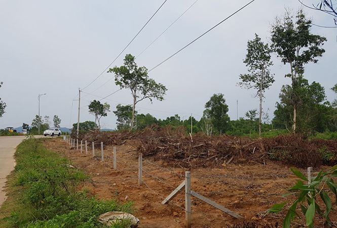 Khu đất tr&ecirc;n 70 ha của Tập đo&agrave;n 3, ấp C&acirc;y Th&ocirc;ng Trong, x&atilde; Cửa Dương đ&atilde; bị một nh&oacute;m người b&aacute;n bất hợp ph&aacute;p.