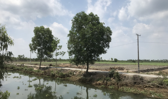 Khu D của Dự &aacute;n 773 v&ugrave;ng Thạnh H&ograve;a Lợi.