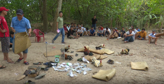 C&aacute;c đối tượng bị bắt quả tang khi đang say sưa s&aacute;t phạt dưới h&igrave;nh thức đ&aacute; g&agrave;