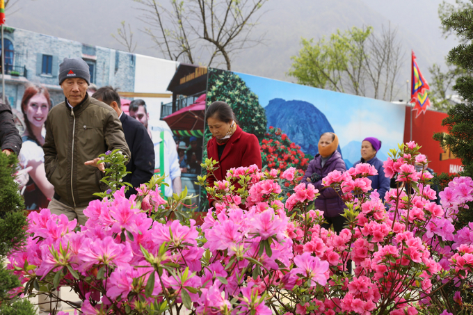 Ưu đ&atilde;i đặc biệt của Sun World Fansipan Legend cho người d&acirc;n T&acirc;y Bắc sắp kết th&uacute;c