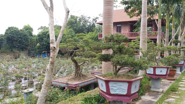 Một g&oacute;c kh&aacute;c của khu biệt phủ rộng h&agrave;ng chục ha.