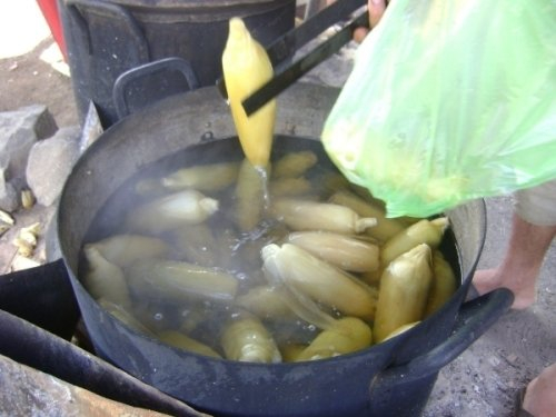 Tin đồn ng&ocirc; luộc c&ugrave;ng pin cũng khiến nhiều người lo ngại