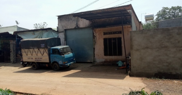 Bình Phước: Xuất hiện đối tượng có dấu hiệu lừa gạt mua hạt điều tiền tỷ khiến nông dân khốn đốn