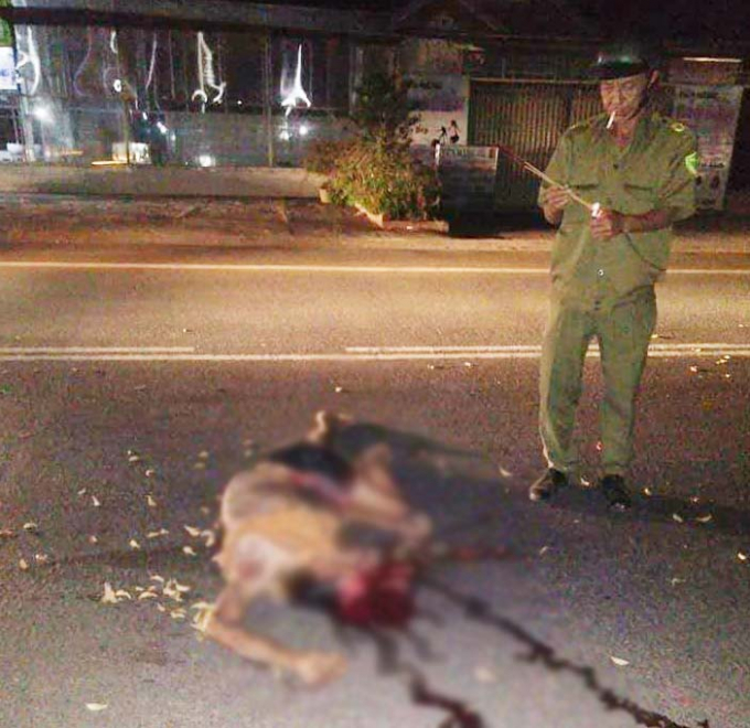 Hiện trường vụ tai nạn chết người.