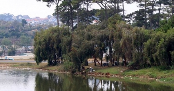 Hồ Than Thở đang thở than vì rác