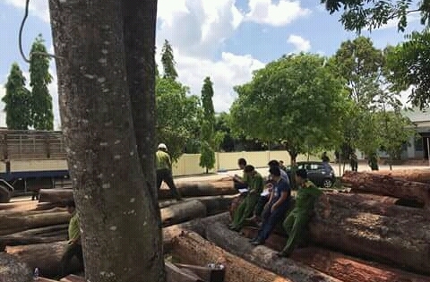 Bộ Công an bắt "nóng" bãi tập kết gỗ quy mô lớn ở Vườn Quốc gia Yok Đôn