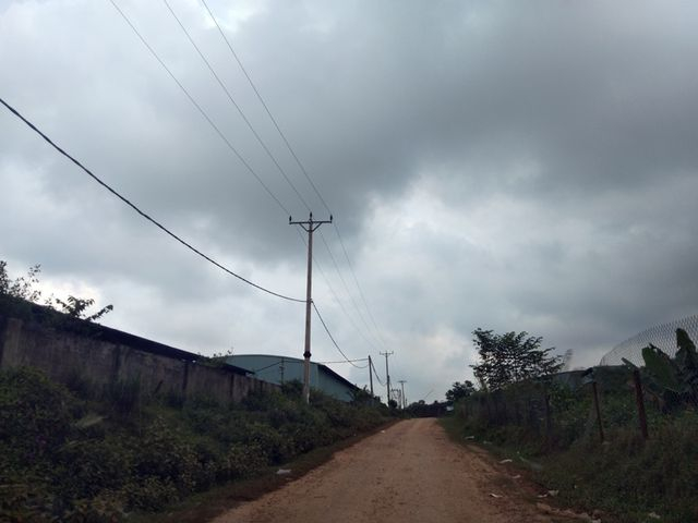 Từng được tung h&ocirc; l&agrave; dự &aacute;n chăn nu&ocirc;i b&ograve; lớn nhất Miền Trung, l&agrave; đầu t&agrave;u k&eacute;o ng&agrave;nh N&ocirc;ng nghiệp H&agrave; Tĩnh, từng&nbsp; bứt ph&aacute; để trở th&agrave;nh một trong những nguồn thu lớn của tỉnh. Nhưng tất cả những g&igrave; đang xảy ra ở ph&iacute;a trong con đường bao quanh dự &aacute;n ở x&atilde; Cẩm Quan, huyện Cẩm Xuy&ecirc;n n&agrave;y l&agrave; một cảnh tượng kh&ocirc;ng khỏi x&oacute;t xa.