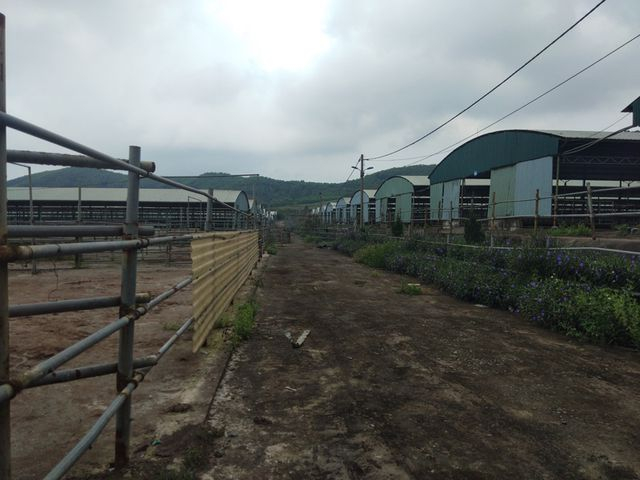 Qua khỏi khu nh&agrave; điều h&agrave;nh, PV D&acirc;n tr&iacute; đi s&acirc;u ra v&agrave;o khu trang trại c&oacute; vị tr&iacute; nằm ở lưng chừng đồi. Kh&ocirc;ng một b&oacute;ng người,&nbsp; tất cả c&aacute;c hạng mục tại trang trại bị bỏ hoang, xuống cấp nghi&ecirc;m trọng, cỏ dại mọc um t&ugrave;m.