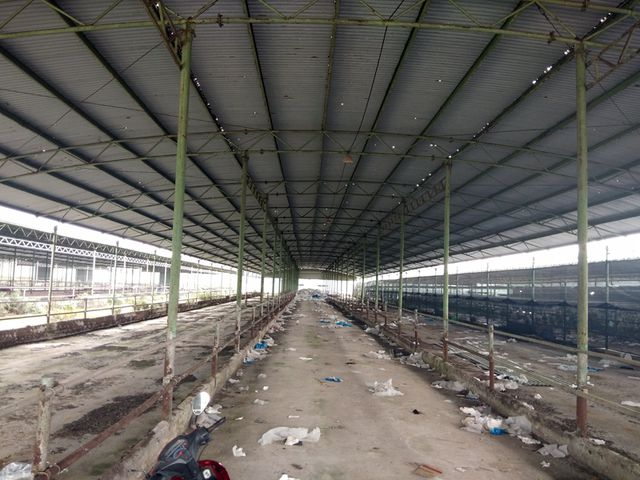 Tất cả c&aacute;c chuồng nu&ocirc;i bị bỏ hoang, đang xuống cấp trầm trọng. Hệ thống m&aacute;i t&ocirc;n trải qua 4 năm nhưng đ&atilde; thủng lỗ chỗ, hệ thống cột chống đỡ nhiều nơi xi&ecirc;u vẹo.