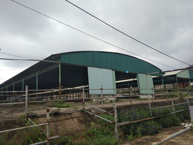 Những chuồng b&ograve; rộng lớn bỏ hoang tr&ocirc;ng thật x&oacute;t xa.