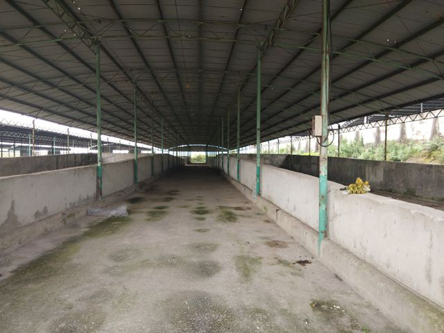 Hệ thống kho ủ, chứa thức ăn cũng bị bỏ trống trơ. C&aacute;c m&aacute;y m&oacute;c cũng đ&atilde; được r&uacute;t đi.