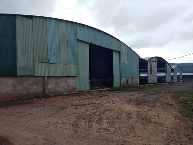 H&agrave;ng trăm hecta đất trồng cỏ bị bỏ kh&ocirc;ng đồng nghĩa với những ph&acirc;n khu ủ ph&acirc;n phục vụ trồng cỏ phải chịu chung số phận. Hiện tại c&oacute; h&agrave;ng ng&agrave;n tấn ph&acirc;n chất đống trong c&aacute;c nh&agrave; chứa như thế n&agrave;y.&nbsp;