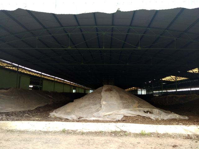 Thiếu vốn để duy tr&igrave; hoạt động, n&ecirc;n c&aacute;c nh&agrave; chứa ph&acirc;n được bọc l&oacute;t sơ s&agrave;i, nguy cơ g&acirc;y &ocirc; nhiễm rất cao.&nbsp;&nbsp;