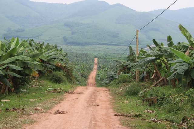Nếu kh&ocirc;ng lọt v&agrave;o được b&ecirc;n trong khu&ocirc;n vi&ecirc;n,&nbsp; &iacute;t ai biết&nbsp; hiện c&ocirc;ng trường