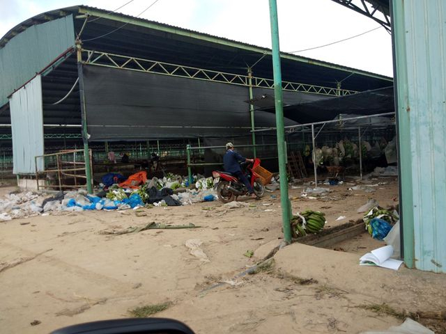 V&agrave; cũng nếu kh&ocirc;ng lọt v&agrave;o được b&ecirc;n trong đại c&ocirc;ng trường dự &aacute;n chăn nu&ocirc;i b&ograve; khủng n&agrave;y th&igrave; kh&oacute; c&oacute; thể biết được những khu chuồng trại chăn nu&ocirc;i b&ograve; đang được C&ocirc;ng ty B&igrave;nh H&agrave; tận dụng để l&agrave;m nơi đ&oacute;ng hộp chuối thương phẩm.&nbsp;