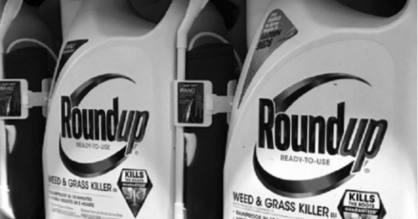 Glyphosate, loại chất diệt cỏ bị nghi kỵ toàn cầu