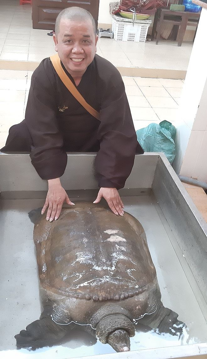 Cua đinh được hiến tặng ch&ugrave;a chăm s&oacute;c.