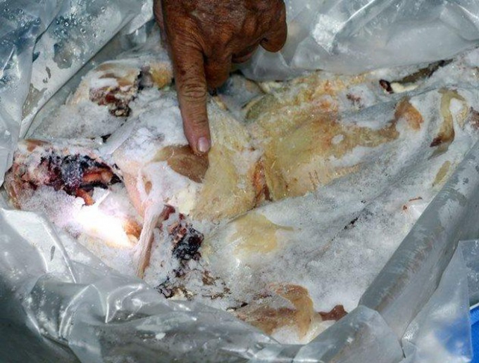 Cục QLTT Vĩnh Long bắt giữ 15 tấn thực phẩm đ&ocirc;ng lạnh.&nbsp;