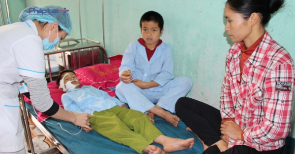 Hai học sinh ở Hà Giang bị chó cắn rách mặt