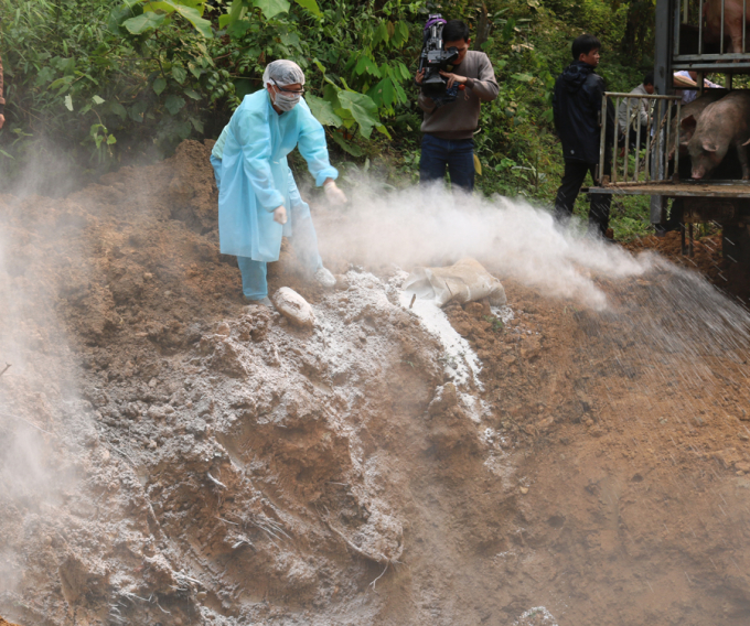 Gia đ&igrave;nh &ocirc;ng Đồng xin tự ti&ecirc;u hủy số lợn kh&ocirc;ng c&oacute; xuất xứ r&otilde; r&agrave;ng.