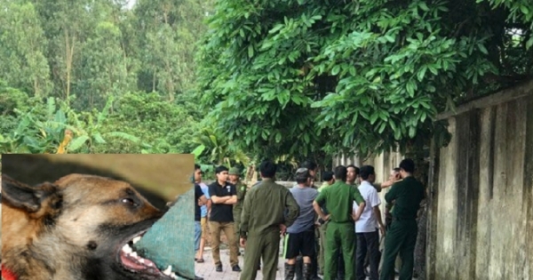 Thông tin mới nhất vụ bé trai 7 tuổi bị đàn chó dữ cắn tử vong