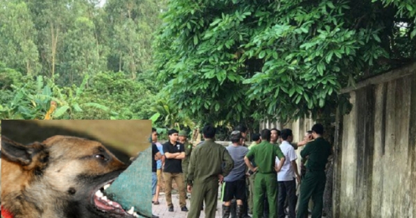 Thông tin mới nhất vụ bé trai 7 tuổi bị đàn chó dữ cắn tử vong