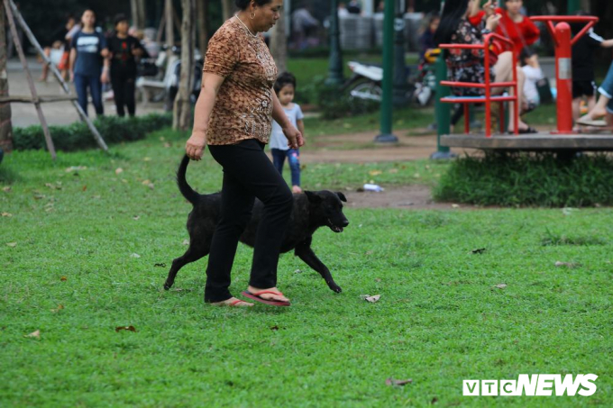 Một con ch&oacute; kh&ocirc;ng rọ m&otilde;m đi cạnh chủ&nbsp;tại một nơi vui chơi c&ocirc;ng cộng.