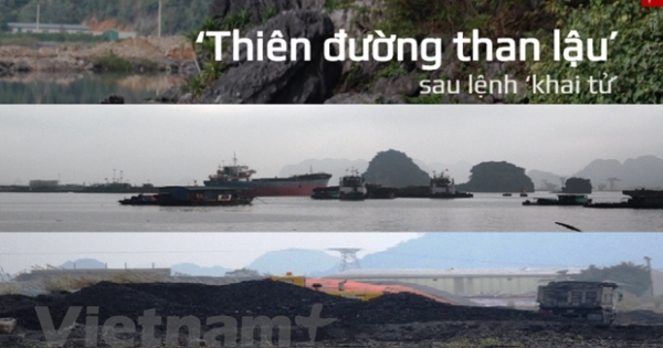 Bài 6: ‘Thiên đường than lậu’ vẫn vô tư hoạt động sau lệnh ‘khai tử’