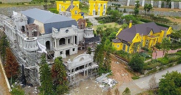 Vi phạm đất rừng ở Sóc Sơn: Kiểm điểm nhiều giám đốc, chuyển hồ sơ sang công an