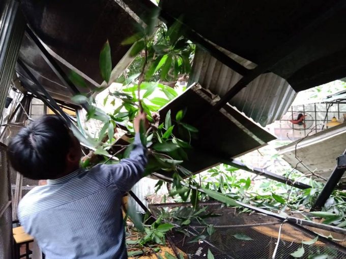 Kh&ocirc;ng c&oacute; thương vong về người.