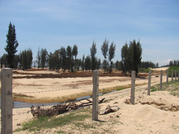 Chưa ho&agrave;n th&agrave;nh thủ tục, tỉnh Ph&uacute; Y&ecirc;n đ&atilde; cho ph&aacute;t trắng rừng ph&ograve;ng hộ l&agrave;m dự &aacute;n du lịch. Ảnh: PV