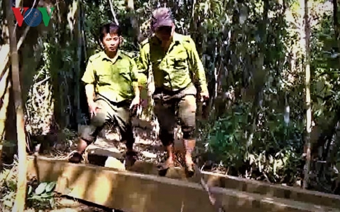 Lực lượng kiểm l&acirc;m lập bi&ecirc;n bản thu giữ tang vật.