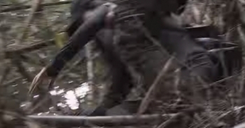 72h ám ảnh cặp đôi đi lạc trong rừng sâu (P2)