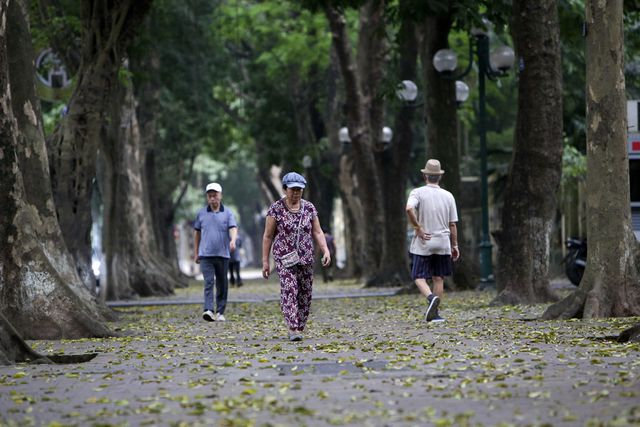 Người tập thể dục muộn dưới h&agrave;ng c&acirc;y sấu đang kỳ thay l&aacute;.