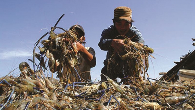 XK thủy sản trở th&agrave;nh điểm s&aacute;ng trong qu&yacute; I/2019 của ng&agrave;nh N&ocirc;ng nghiệp.