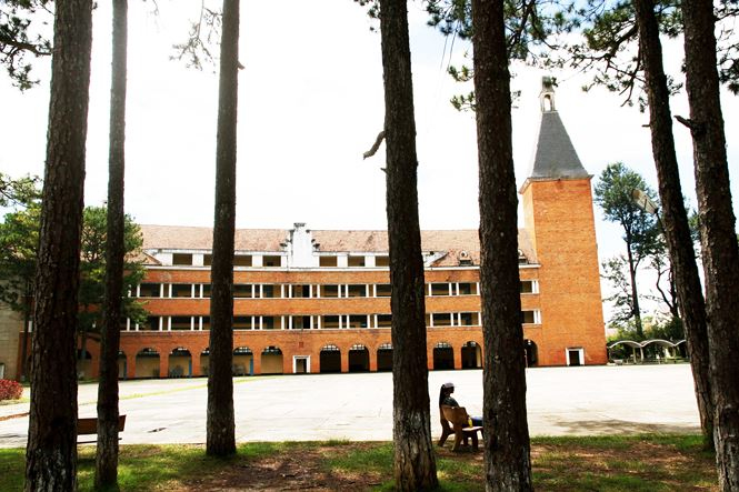 Ng&ocirc;i trường ẩn hiện trong rừng th&ocirc;ng tuyệt đẹp