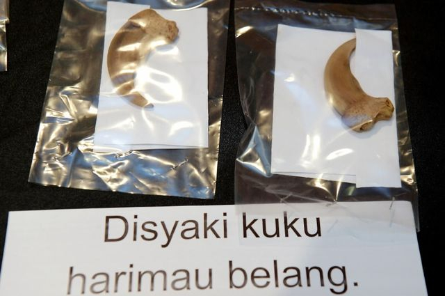 (Ảnh: BERNAMA)