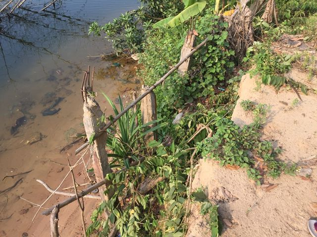 Người d&acirc;n cắm cọc để hạn chế sạt lở.