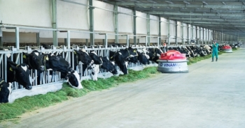 Công ty con của Vinamilk thuộc top các doanh nghiệp tăng trưởng nhanh nhất Việt Nam