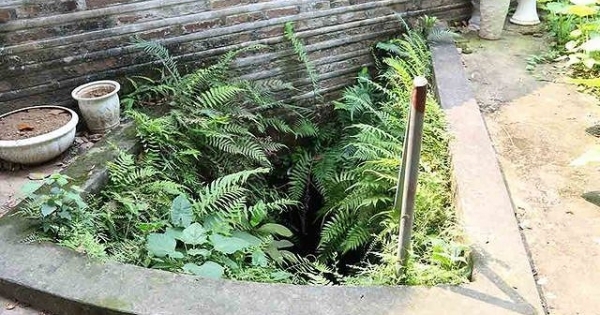 Bí ẩn hang ngầm dưới đình cổ giáp hồ Tây Hà Nội