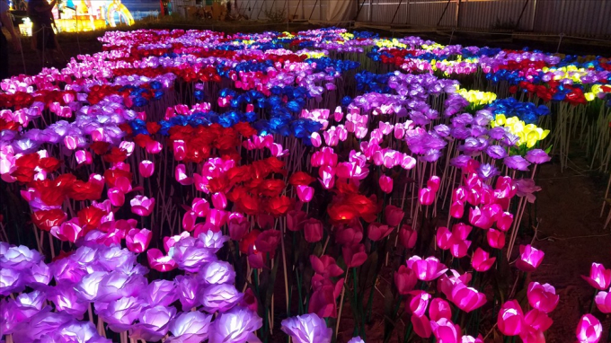 C&ocirc;ng vi&ecirc;n giờ đ&acirc;y được mệnh danh l&agrave; khu vườn của &aacute;nh s&aacute;ng bởi h&agrave;ng triệu b&oacute;ng đ&egrave;n led được thắp s&aacute;ng tạo ra những khung cảnh 3D huyền ảo từ cổng ch&agrave;o, h&igrave;nh khối, h&igrave;nh con vật, lồng đ&egrave;n điện treo c&acirc;y, cho đến những vườn hoa...