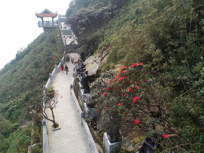 Qu&ecirc;n lối về trong Lễ hội hoa đỗ quy&ecirc;n c&oacute; một kh&ocirc;ng hai tại Fansipan