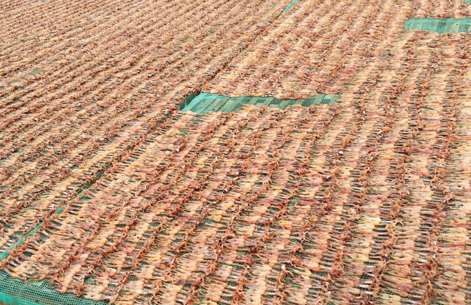 Từ nghề l&agrave;m kh&ocirc; nh&aacute;i, nhiều hộ d&acirc;n ở x&oacute;m nghề ở x&atilde; Vĩnh Trung đ&atilde; c&oacute; thu nhập ổn định. Ảnh: M.A.