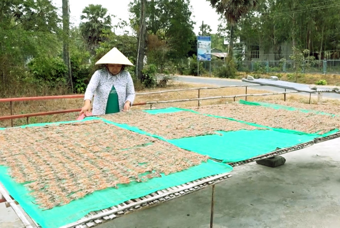 Nhiều lao động&nbsp;c&oacute; thu nhập kh&aacute; nhờ l&agrave;m c&ocirc;ng tại cơ sở sản xuất kh&ocirc; nh&aacute;i. Ảnh: M.A.